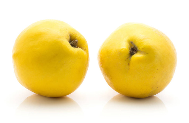 Two quinces isolated on white background yellow raw ripe - Photo, image
