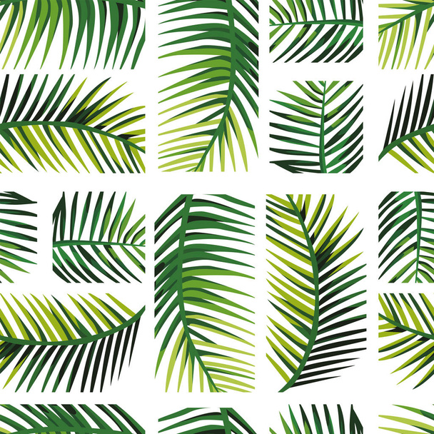 geometric arrangement palm leaves - Вектор,изображение