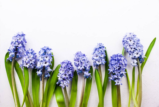 Flowers composition with lilac hyacinths.  - Zdjęcie, obraz
