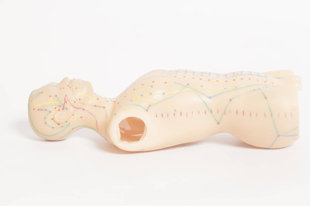 Medical acupuncture model of human on white background - Foto, afbeelding