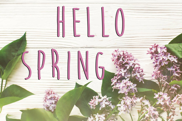 Hallo Frühling Text und schöne lila Blumen Zweig auf weißem Holzhintergrund - Foto, Bild