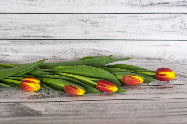 Bouquet de tulipes colorées sur une table en bois
 - Photo, image