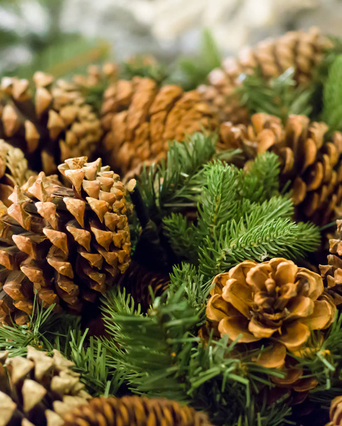 еловая ветвь с большими коричневыми конусами, основа для оформления открыток сезонного дизайна Рождества и Нового года
 - Фото, изображение