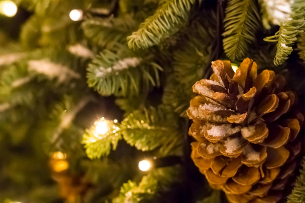 Fichtenzweig mit großen braunen Zapfen, Basis für die Gestaltung von Postkarten zur saisonalen Gestaltung von Weihnachten und Neujahr - Foto, Bild