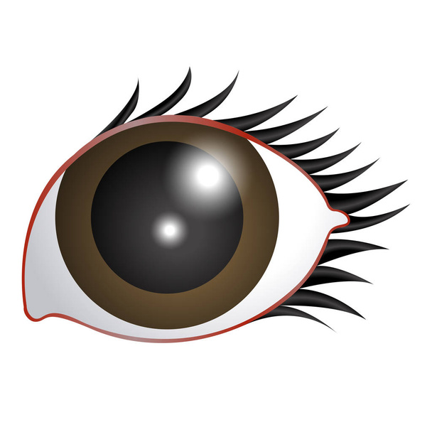 Beauty eye image - Vektor, obrázek