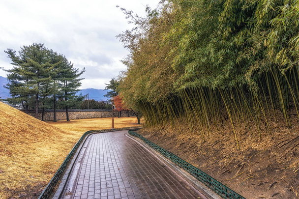 royal mounds in daereungwon - Photo, Image