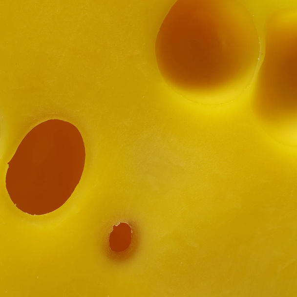 Textúra, a sajt közelről. - Fotó, kép