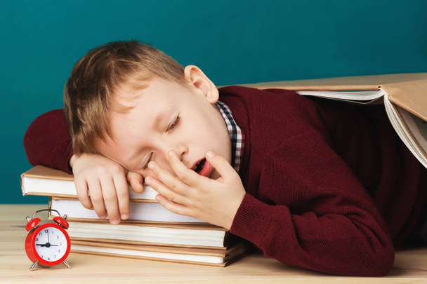 втомлений школяр спить на книгах. маленький студент спить на тексті
 - Фото, зображення