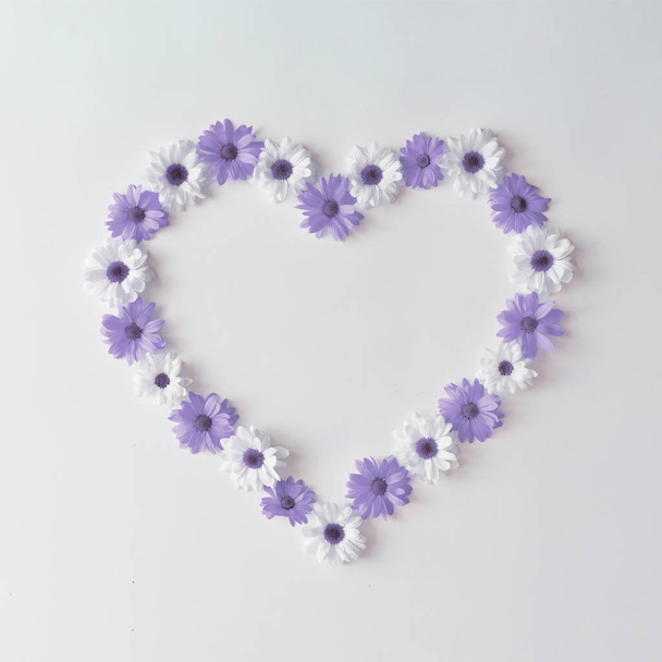 hart vorm gemaakt van violet en witte madeliefjes, valentijn dag concept   - Foto, afbeelding