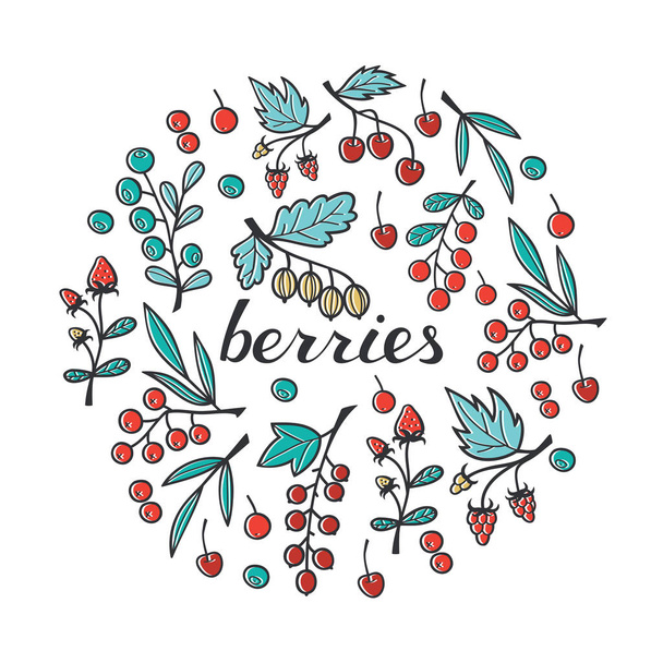 Bobule kolekce: Jahoda, Malina, Blackberry, Cherry, angrešt, borůvek, rybízu, Rowan, Brusinka. - Vektor, obrázek