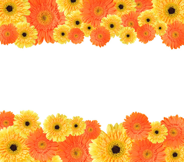 žluté a oranžové daisy rám - Fotografie, Obrázek