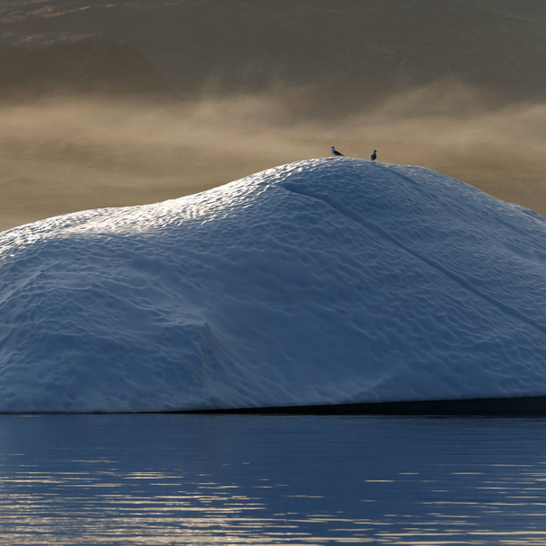 地球の極地。様々 な形や大きさの氷山。気候変動や地球上の平均年次温度の成長。極地の氷と壊滅的な融解の面積の削減. - 写真・画像