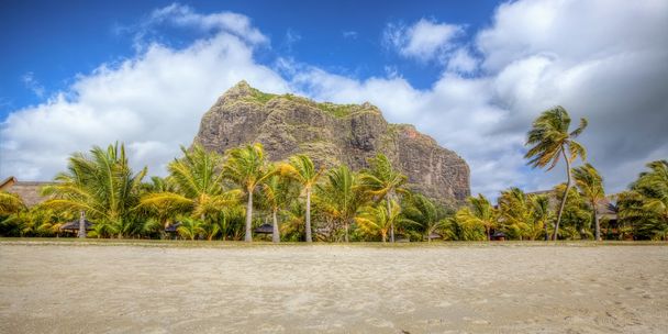 Bela praia em mauritius
 - Foto, Imagem