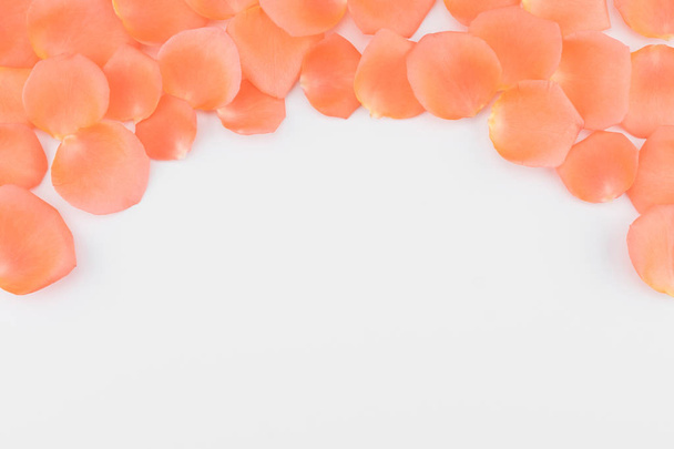 Pomarańczowe płatki róż na białym tle z miejsca kopii - Zdjęcie, obraz