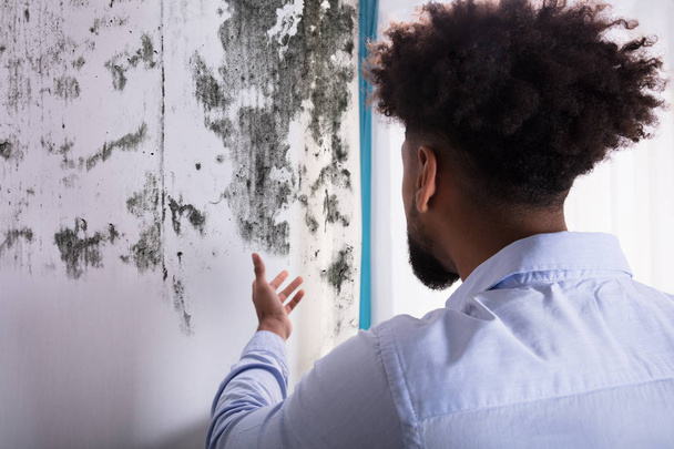 Rear View Of A Young Man Looking At Mold On Wall - Fotoğraf, Görsel