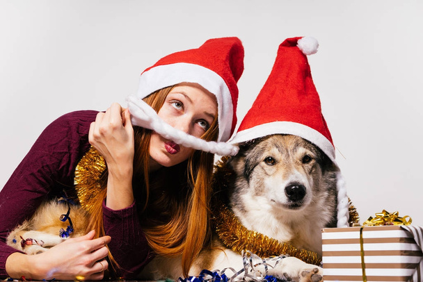 woman in a New Year's cap lies next to the dog on the background of gifts - Valokuva, kuva