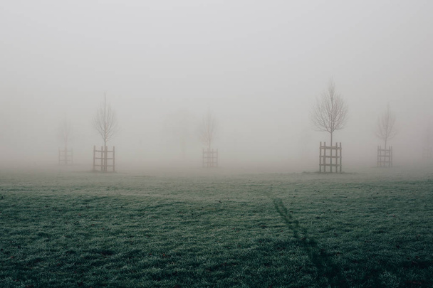 Elérési utat, a fű és a fák Broomfield Park, London, eltűnik a ködben a hideg téli reggelen. - Fotó, kép