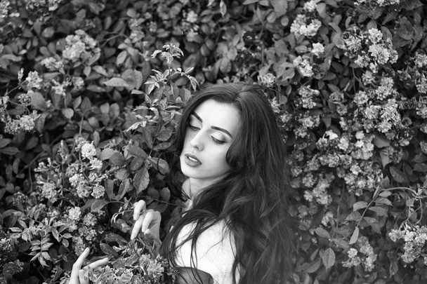 mujer sexy joven con maquillaje en la cara bonita y pelo largo morena cerca de rosa arbusto de flores de color rosa y verde al aire libre, primer plano
 - Foto, Imagen