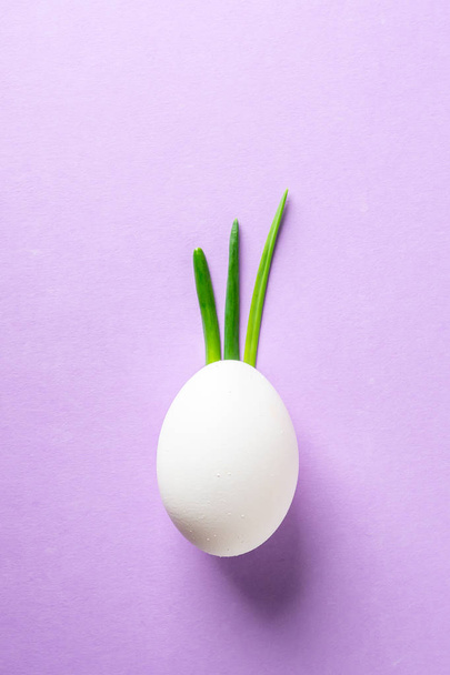 Egg shell and feathers green onion imitation sprout, leaves pineapple fruit, Iroquois hair hairstyle on face, on purple pink colored, background paper. Food concept minimal - Foto, imagen