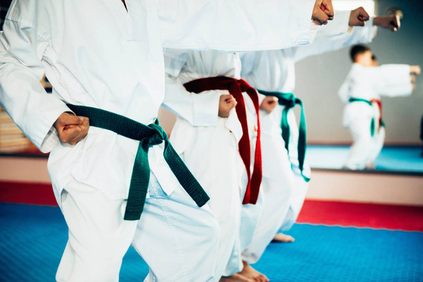 close up of Children in Tae Kwon Do stance  - Photo, Image