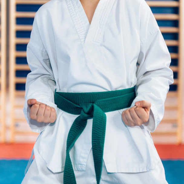 close up of boy in Tae kwon do stance - Photo, Image