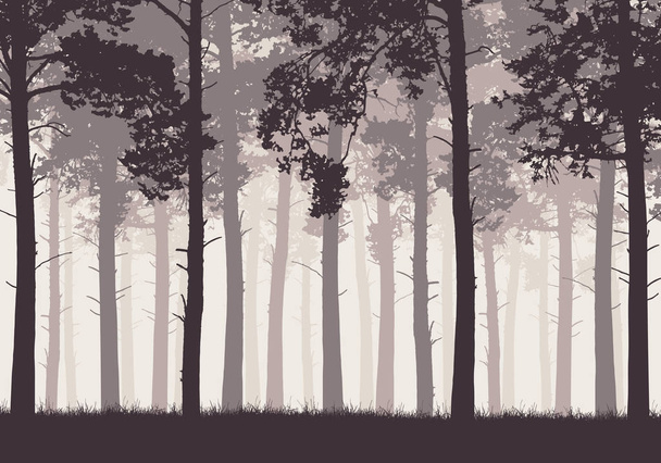 Сосновый лес с стволами деревьев и ветвями
 - Вектор,изображение