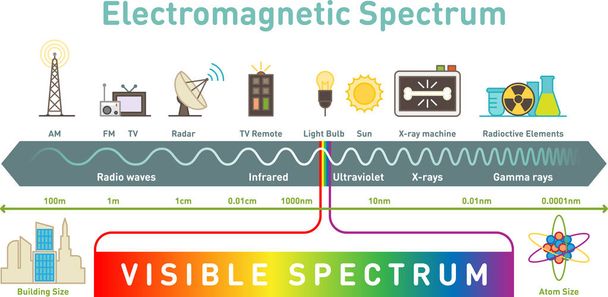 Electromagnetic spectrum infographic diagram - Vector, imagen