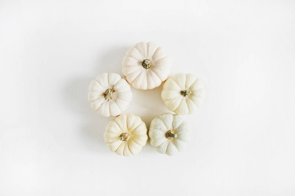 White pumpkins. Round autumn minimal arrangement. Flat lay, top view. - Фото, изображение