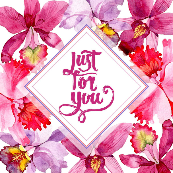 Flor silvestre rosa orquídea marco de flores en un estilo de acuarela
. - Foto, Imagen