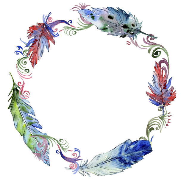 Watercolor bird feather wreath from wing. - Foto, afbeelding