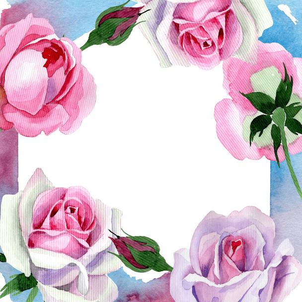 Wildflower przetargu rama różowy kwiat róży w stylu przypominającym akwarele. - Zdjęcie, obraz