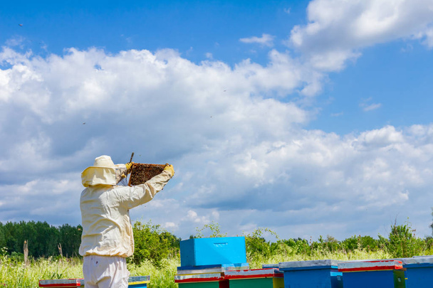 養蜂家、養蜂家は蜂にハニカムを保持しています。  - 写真・画像