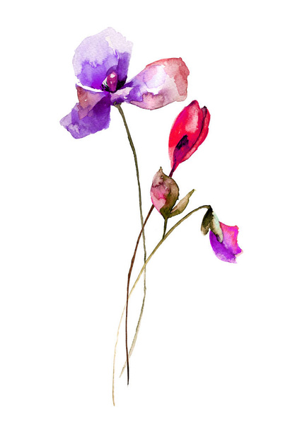 Beautiful flowers, watercolor illustratio - Zdjęcie, obraz