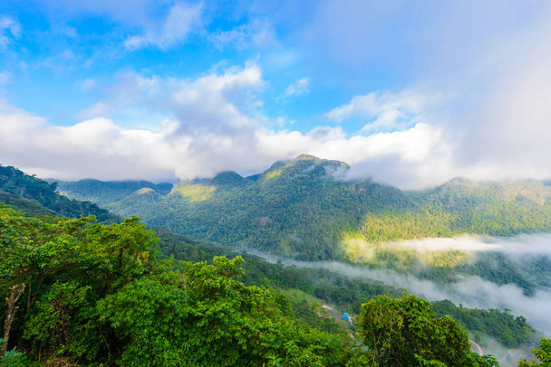 pohled z hlediska Sui Thang v Angkhang mountain, chiang mai, Thajsko. Moře mlhy ráno - Fotografie, Obrázek