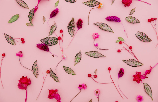 Fent nézetben üzemben levelek és virágok rózsaszín háttér - Fotó, kép