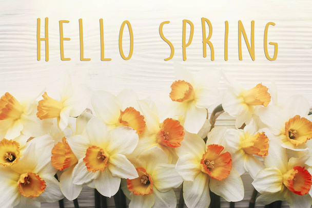Olá texto de primavera e flat lay com belos narcisos amarelos em luz suave no fundo de madeira branca, vista superior
 - Foto, Imagem