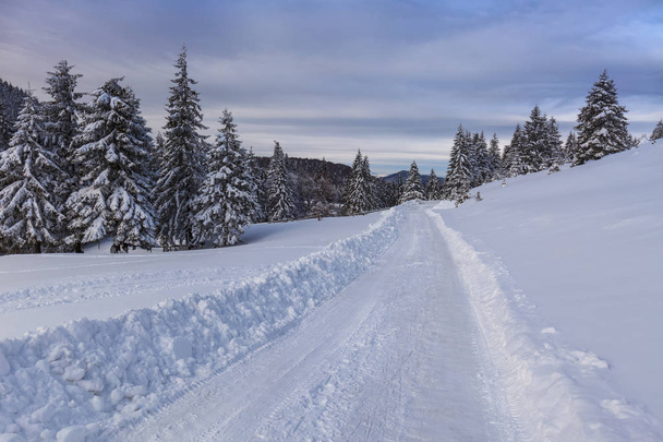 rustieke weg in de winter - Foto, afbeelding