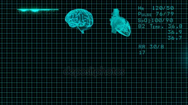 EKG Monitor. Blue ECG monitor shows healthy heart beat. Seamless loop - Footage, Video