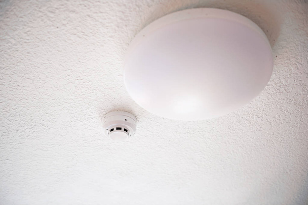 Rivelatore di fumo e sistema di protezione antincendio sul soffitto
 - Foto, immagini