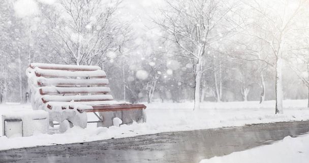 Parque de invierno cubierto de nieve y bancos. Parque y muelle para alimentación
 - Foto, Imagen