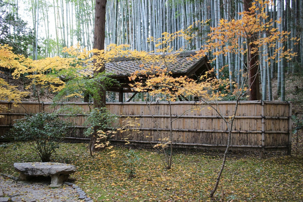 Autam im Konkai-Komyoji-Tempel positioniert Bewohner  - Foto, Bild