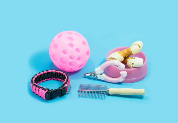 Pet supplies about collars, comb, nail scissors. Bowls - Photo, Image