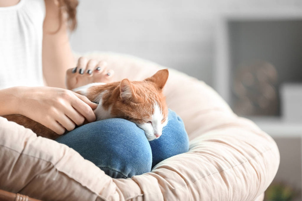 Young woman with cute cat in armchair at home - Photo, Image