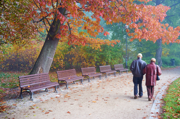 Senior couple in the park - Photo, image