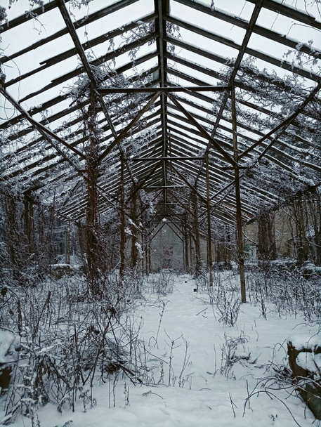 εγκαταλελειμμένο θερμοκηπίου κάτω από το χιόνι - Φωτογραφία, εικόνα