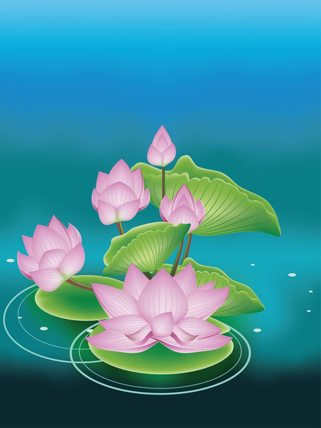 Цветок лотоса с листьями
 - Вектор,изображение