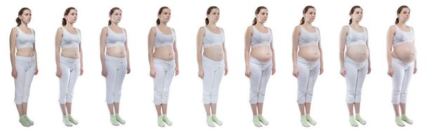 Zdjęcie, młoda dziewczyna w ciąży z nagi brzuch - Zdjęcie, obraz