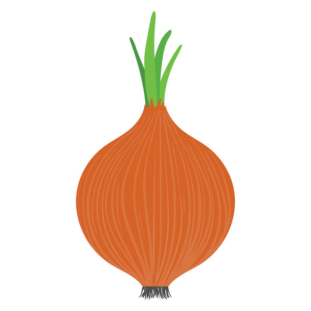 Onion icon. Flat color design. Vector illustration. - Vector, Image