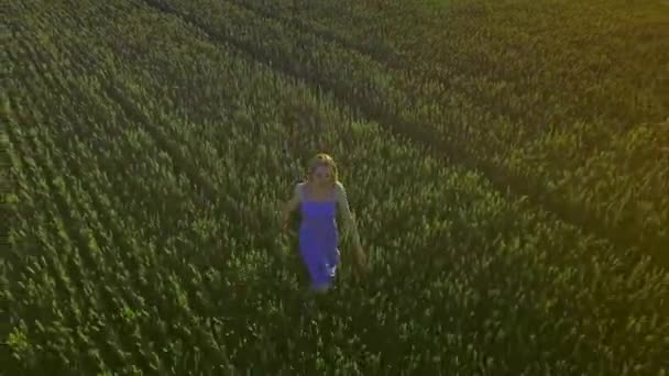 Happy woman running in summer field. Young woman running field - Footage, Video