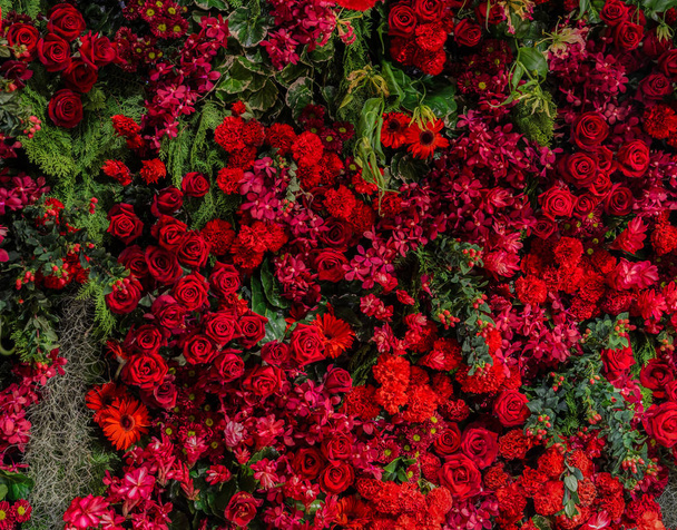 Kaunis tuore punaisia ruusuja ja erilaisia punaisia kukkia kavennukset
 - Valokuva, kuva